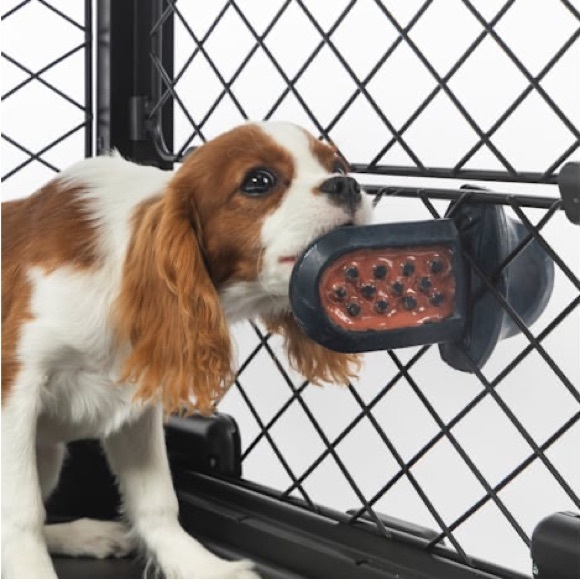 Diggs Groov Silicone Crate Training Tool - Picture 1 of 7